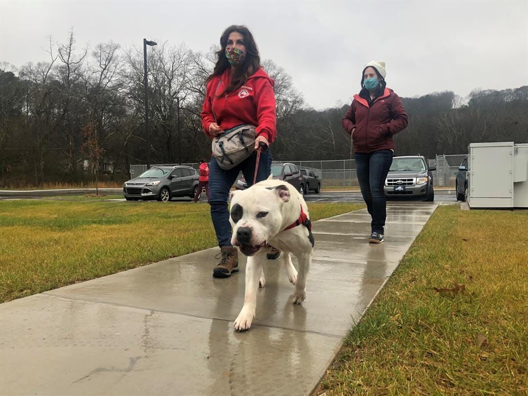 Humane Society gives tips for Pet Poison Prevention Awareness Month